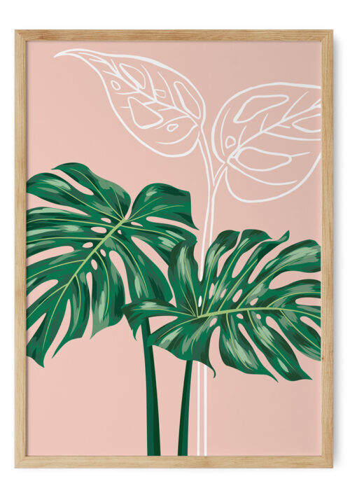 Hojas de monstera deliciosa