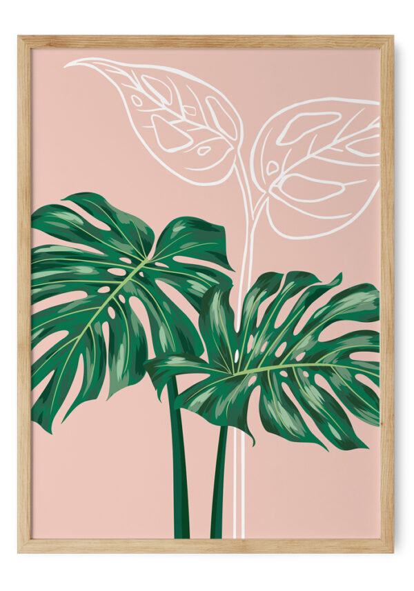 Hojas de monstera deliciosa